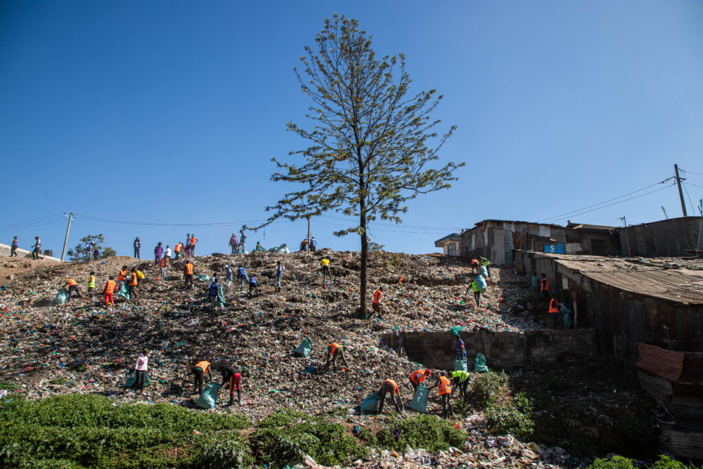 A picture of the youth in the park, planting the trees